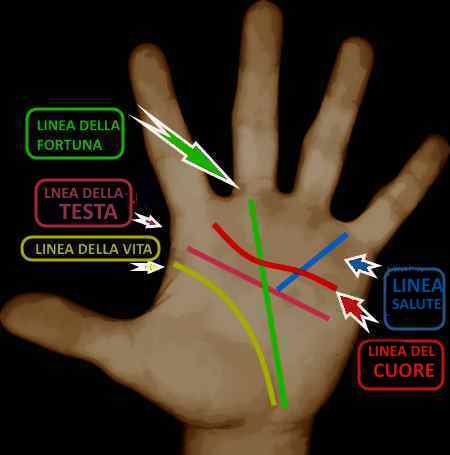chiromanzia le principali 5 linee della mano