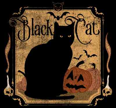 gatto nero halloween