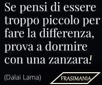 FRASIMANIA